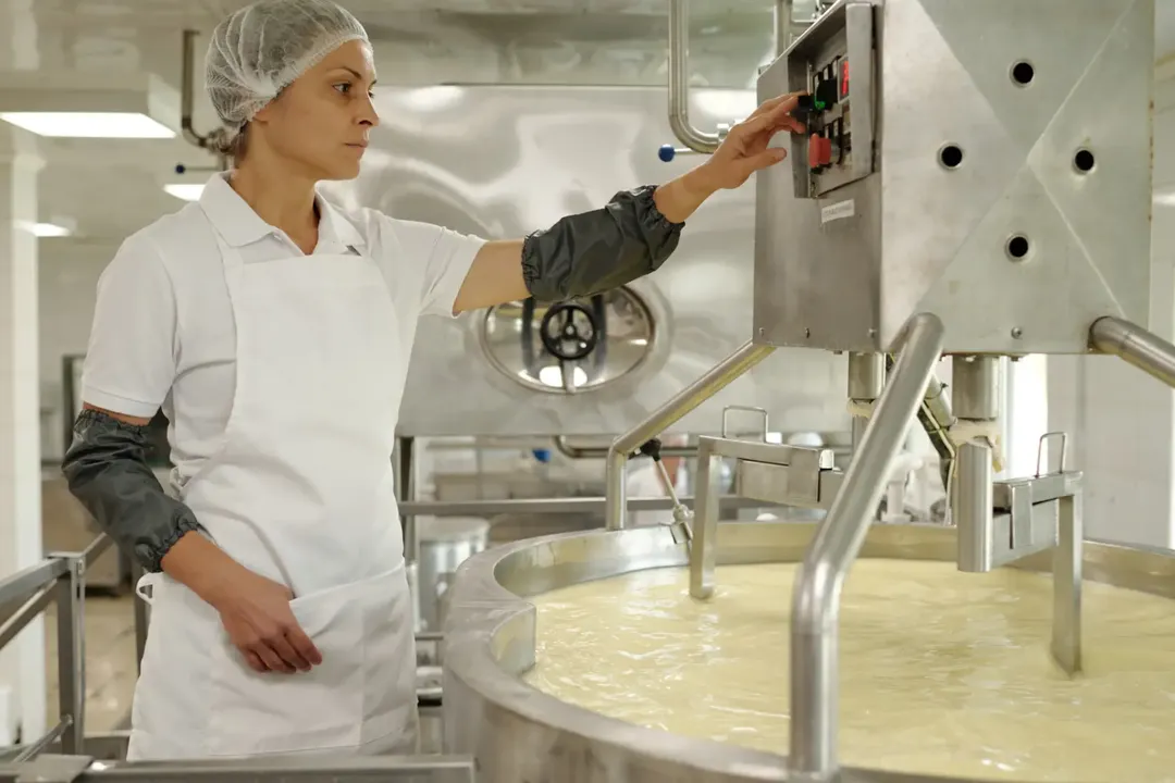 Hygienic Design of Food Facilities: Ensuring Safety and Efficiency