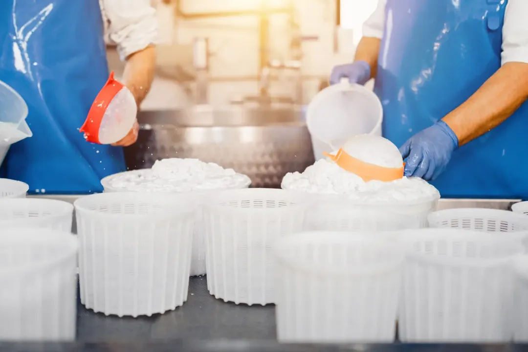 Mastering Rework in Food Manufacturing: Best Practices and Key Considerations
