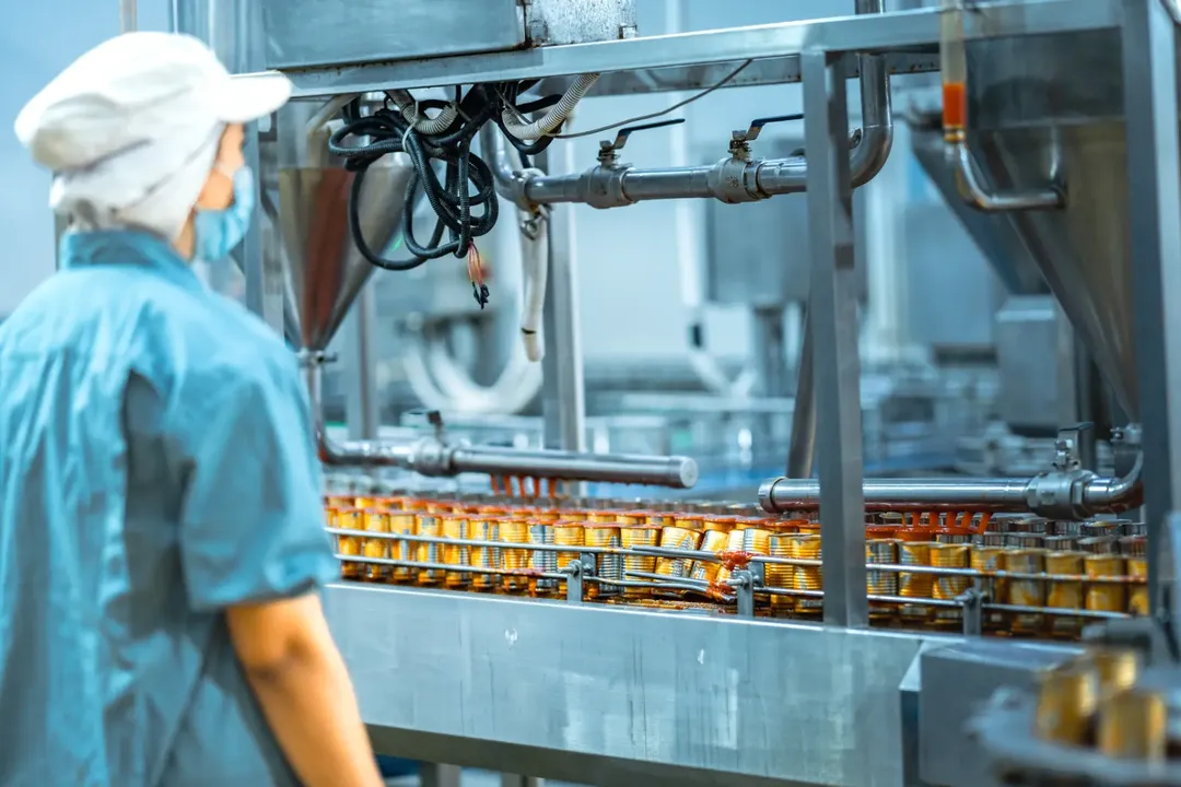 Hold and Release Program in Food Manufacturing: Ensuring Quality and Safety