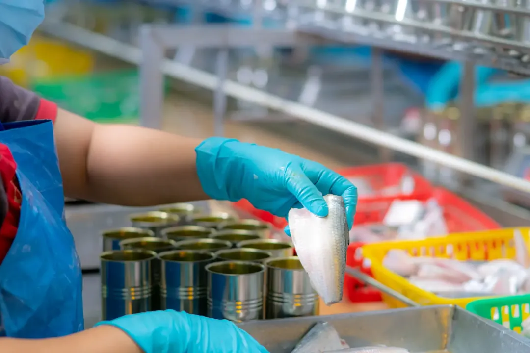 Mastering Corrective and Preventive Action (CAPA) in Food Processing