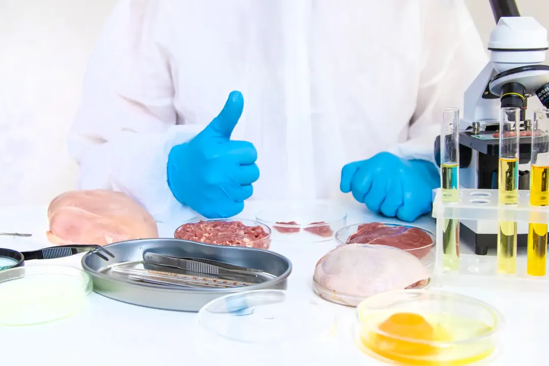 Understanding Food Contaminants: A Comprehensive Guide for the Food Industry