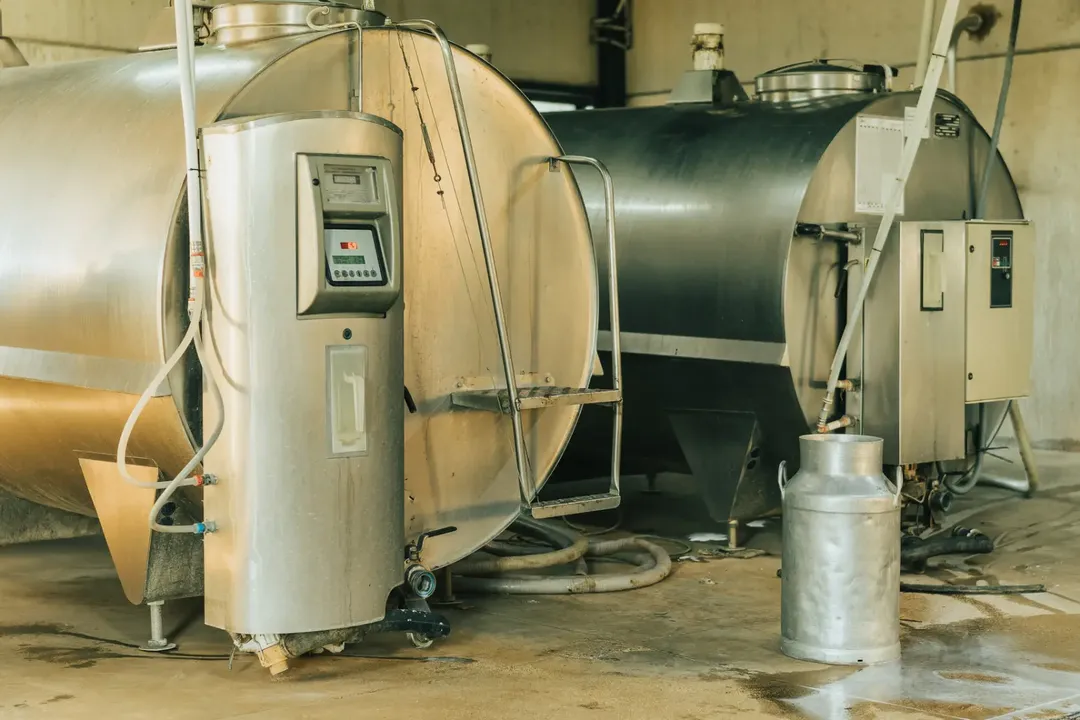 Understanding Steam: A Vital Component in Food Factory Design and Engineering