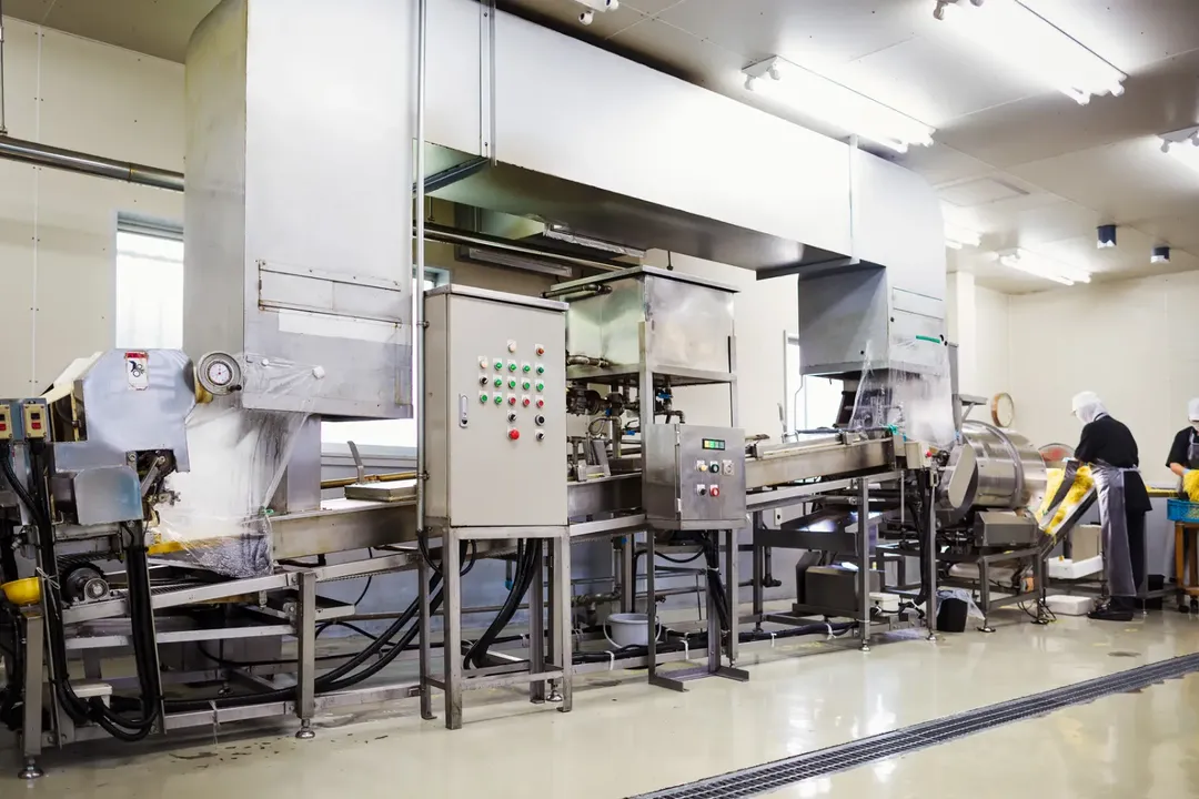 Maximizing Energy Efficiency in Food Processing: A Consultant's Insight