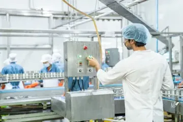 Understanding Harmonics in Food Processing Plant Engineering